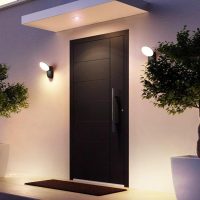 Fashion LED Outdoor Wall Lamp Background Wall Decoration Indoor and Outdoor