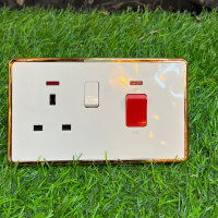 Luxury Cooker Gold  & White Socket