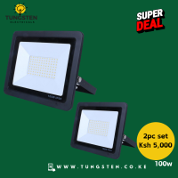 2pc 100w Electric Floodlight 5000