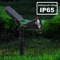 Solar Garden spotlight 2watts