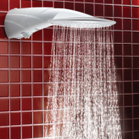 Lorenzetti Advanced Instant Shower