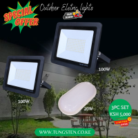 2pc 100w floodlight + 1pc 20w Lamp Offer