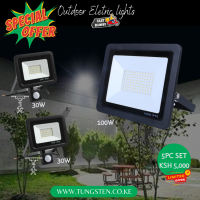 1pc 100w LED floodlight +2pc 30w Motion sensor Floodlight Offer