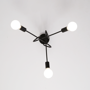 Ceiling light