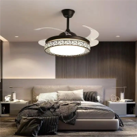Fashionable fan chandelier light