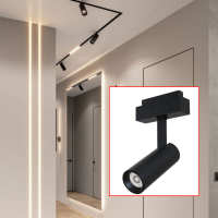 Surface Magnetic Track Light
