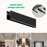 SURFACE magnetic track rail