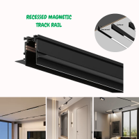 recessed magnetic track rail