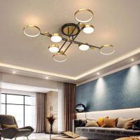 Rings Design Ceiling Lamp