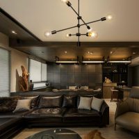 Nordic Style Black Sputnik Chandelier Light