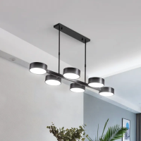 Designer multi-head pendant LED chandelier light