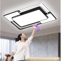 LED Decor Flush Mount Ceiling Lamp, Acrylic Lighting Fixture For Living Room Bedroom Lounge,3 Light Sources,5 Styles