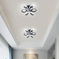 Seamoon Modern LED Ceiling Lights 22W Corridor Balcony Living Room Kitchen Bathroom Bedroom Cool White 6000K