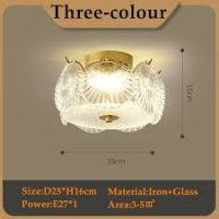 Entry Way ceiling light