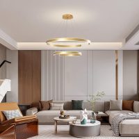 2 Circular Rings LED Chandeliers Fixture | Adjustable Ceiling Hanging Lamp