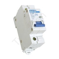 Double pole mcb |63A |100A
