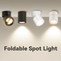 Foldable Surface Mounted LED Track Light Spotlight