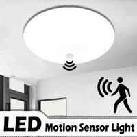 20w Outdoor Motion sensor lamp