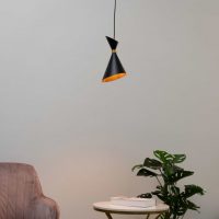 Dual Cone Pendant light