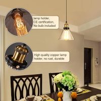 Oval Glass Pendant light