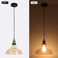 Glass Pendant Light