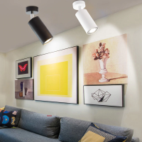 surface track light