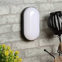 Black Base Oval Moisture Proof LED Outdoor lamp