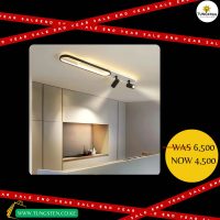 Modern Oval Ceiling Light with Adjustable Spotlights