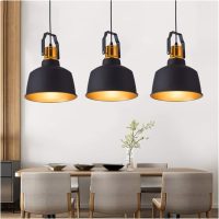 Shades Ceiling Led Dining Cord Droplight Chandelier with E27/E26 led Bulb for Living Room Home