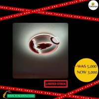 End Year Sale Offer!! 3 Color LED Ceiling Light