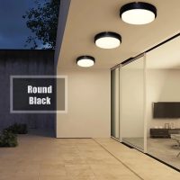 IP65 rated Round Moisture Proof Outdoor Light