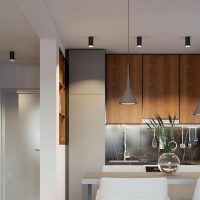 Surface Mounted Spot Lighting Fixtures for Hallway Gallery Kitchen Picture Lights & Mini Accent Spotlights