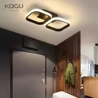 Black Flush Mounted LED light