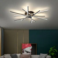 Acrylic Indoor Lighting for Bedroom, Living Room, Dining Room & Study - Contemporary Ceiling Lamp