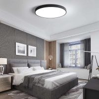 500MM Three-color adjustable LED ceiling light