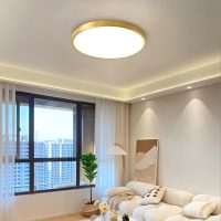 500MM Gold  Three-color adjustable LED ceiling light
