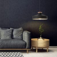 Japanese Restaurant Hanging E27 Single Head pendant light