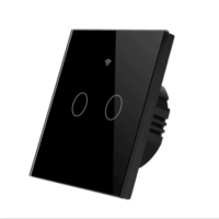 Black 2 Gang Smart Switches