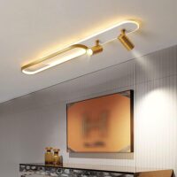 Acrylic Ceiling Light Fitting Track Light Spotlight | Adjustable Light Ceiling Spot Lamp for Kitchen Living| Bedroom |Hallway