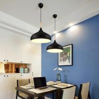 Modern Black Dome Hanging Pendant Light Ceiling.